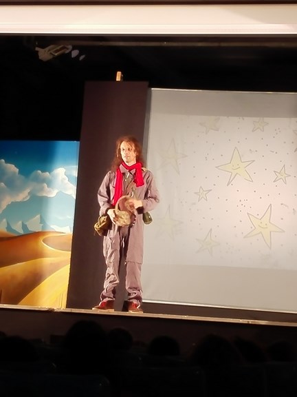 Lepetitprince 612 (Copy)